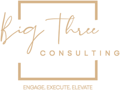 Big Three Consulting. Engage. Execute. Elevate.